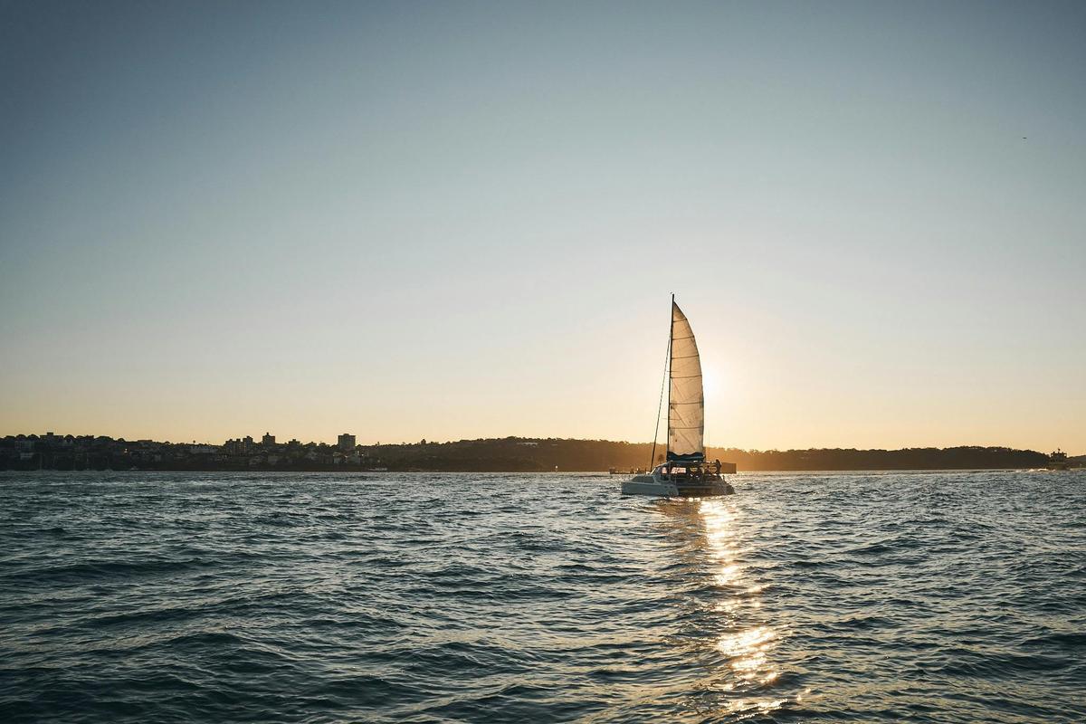 Delphinus catamaran sailing in Sydney Harbour with sails up
