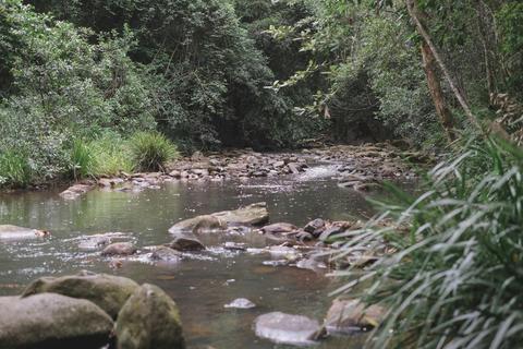 The Gorge Walking Track,  Kerewong State Forest