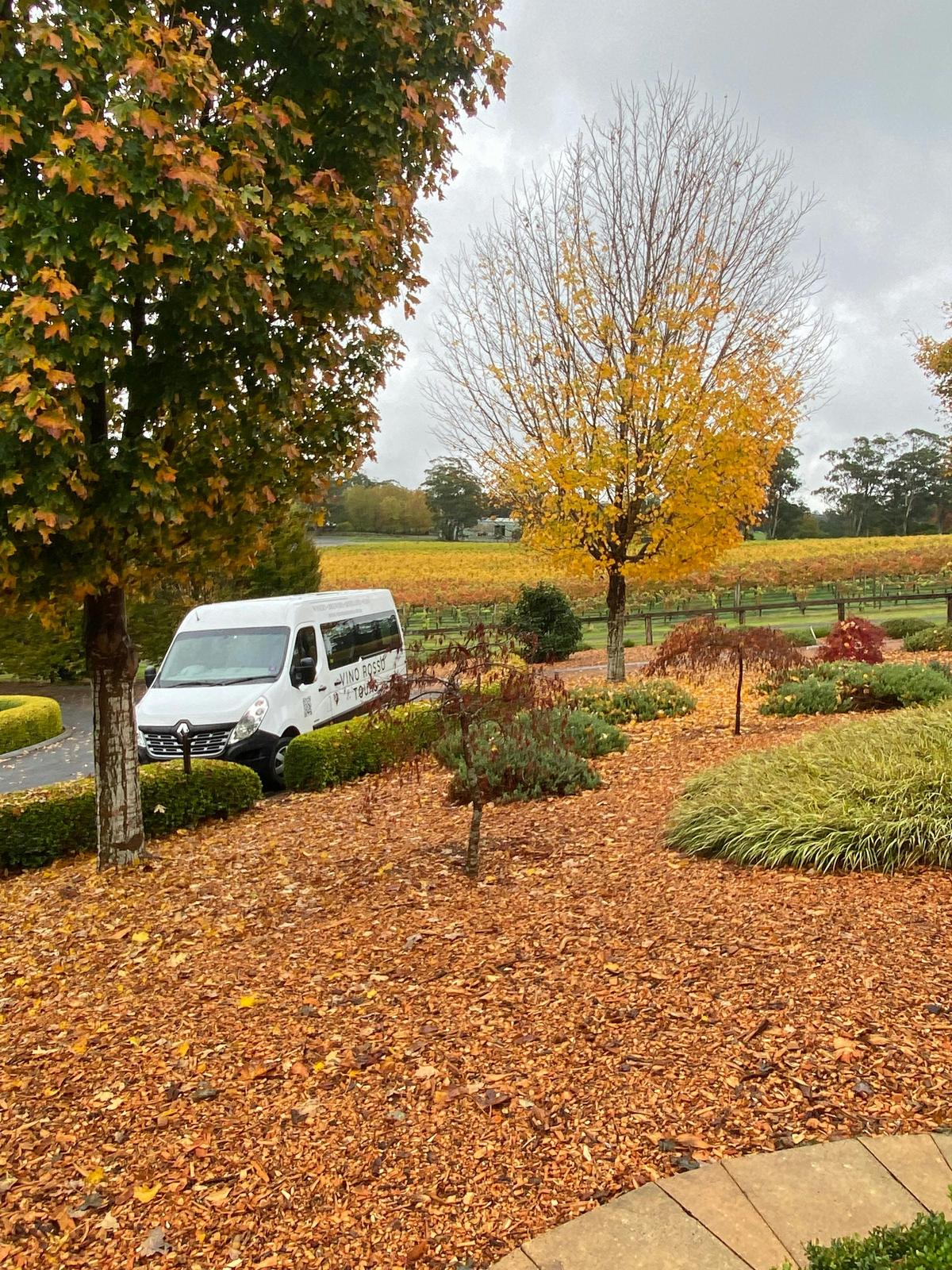 Autumn Wine Tour - Centennial Vineyards and Vino Rosso Tours