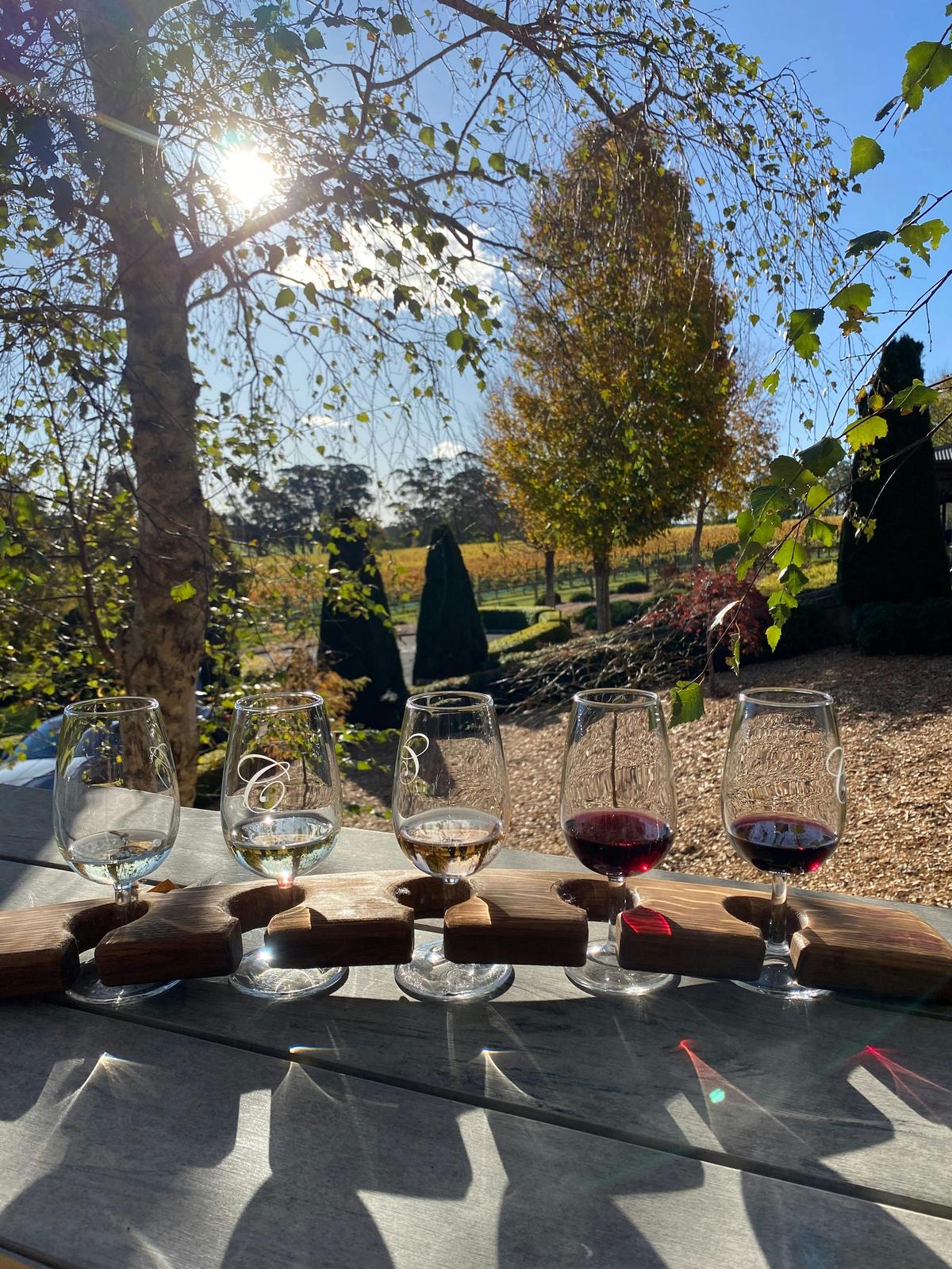 Centennial Vineyards Tasting Paddle - Vino Rosso Tours