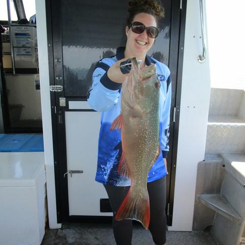 Full Day 8 hour Bluewater Charter