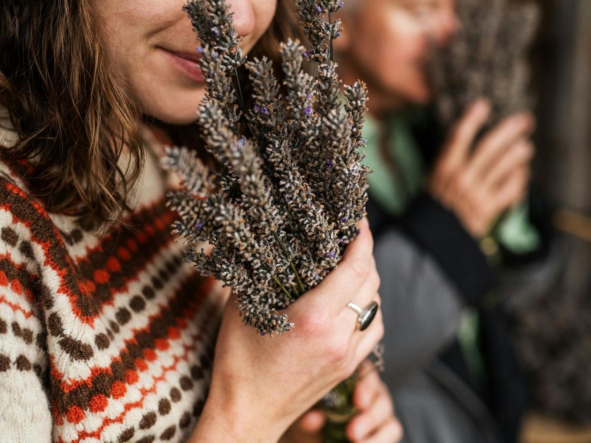 Experiencing the fragrance of farm-grown lavender at Lavender Goat Farm.