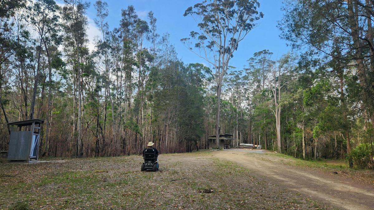 Bachelor Forest Lodge Freedom Forest