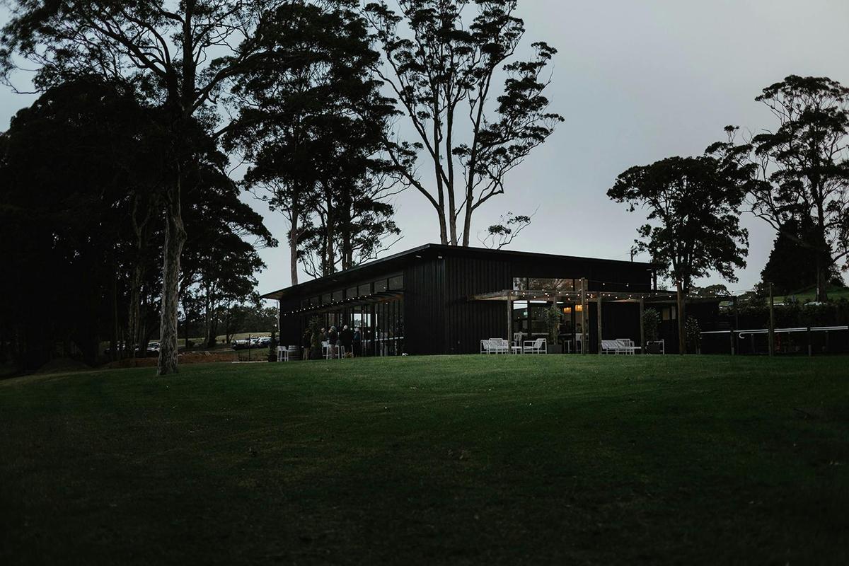 Melaleuca