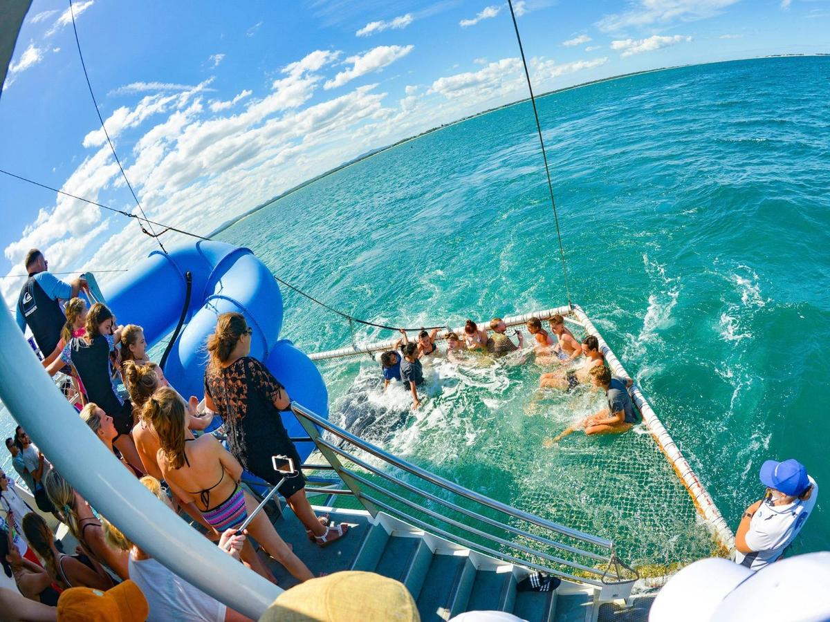 The Boutique Vines & Blue Water Dolphin Cruise