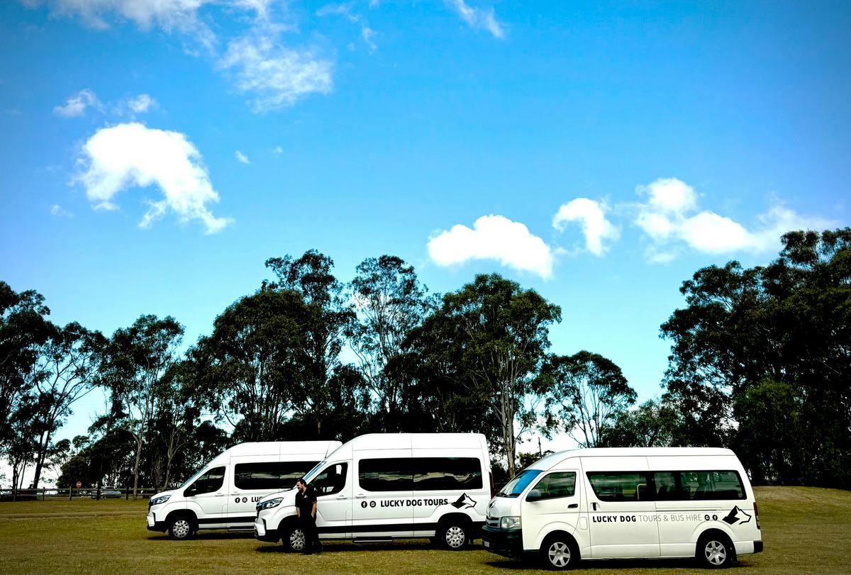 Our fleet - three 11-passenger vehicles
