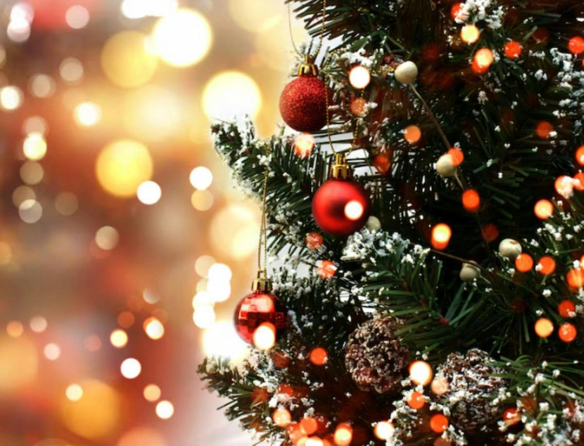Family Christmas Fun Day and Twilight Markets