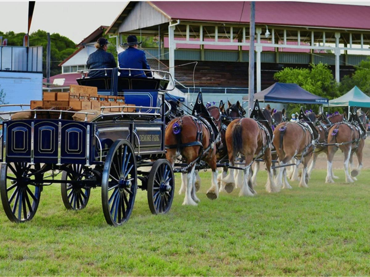 Mudgee Show and Rodeo