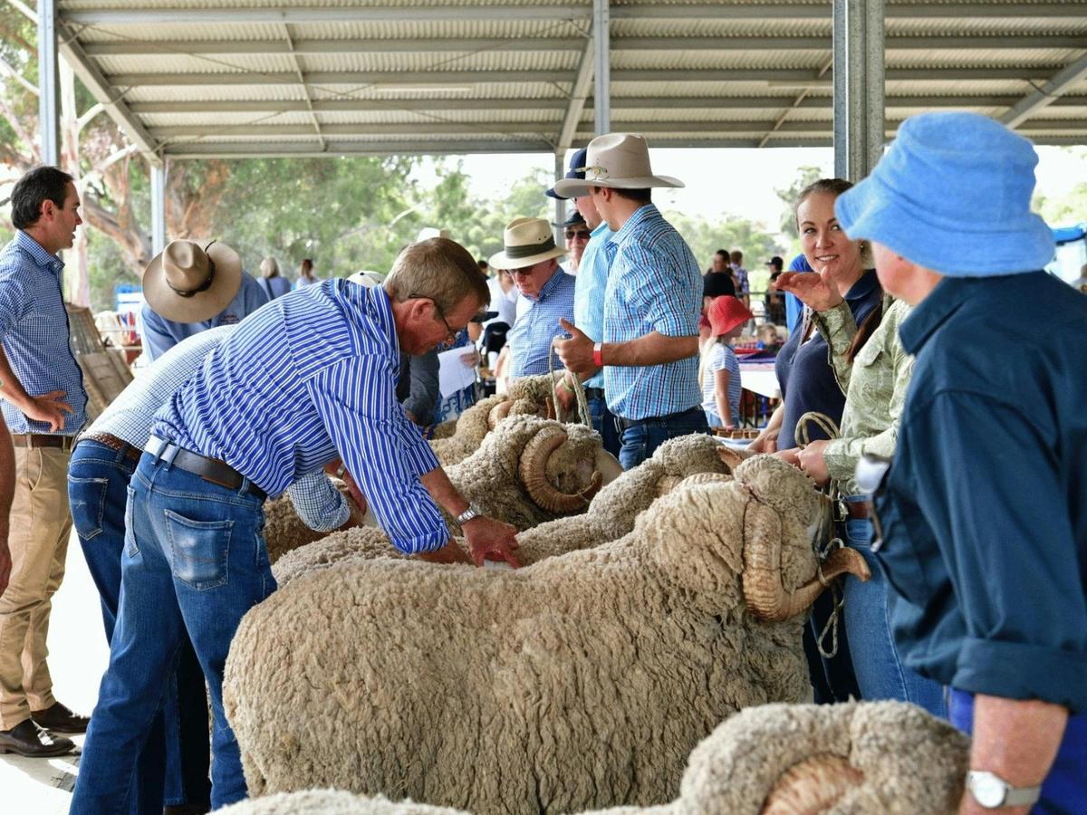 Mudgee Show and Rodeo