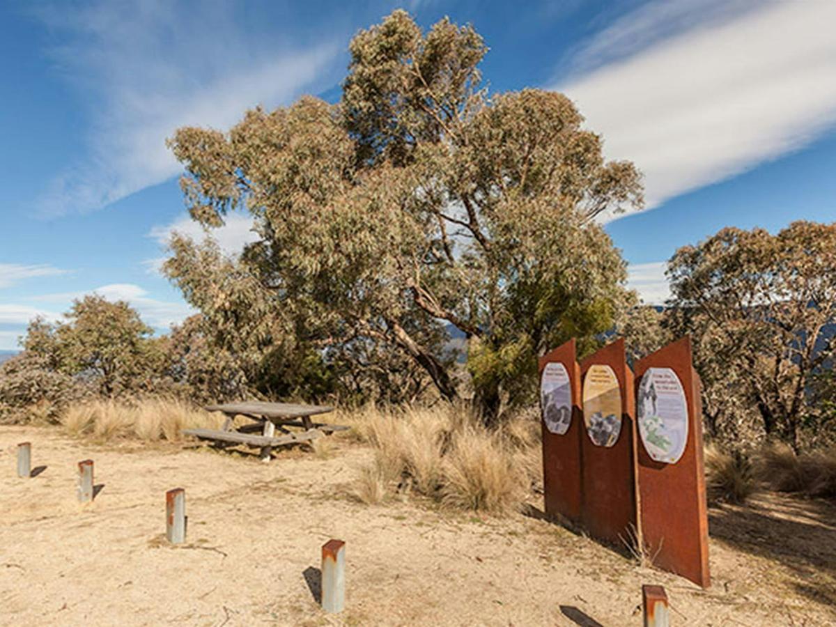 Wallace Craigie lookout, Kosciuszko National Park. Photo: Murray Vanderveer/DPIE