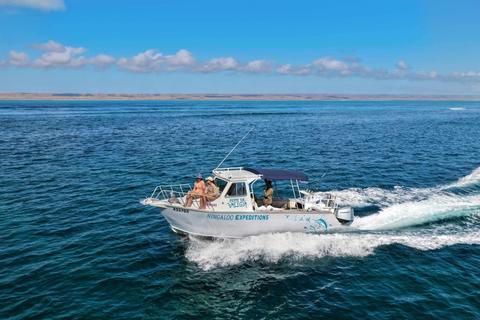 Ningaloo Expeditions