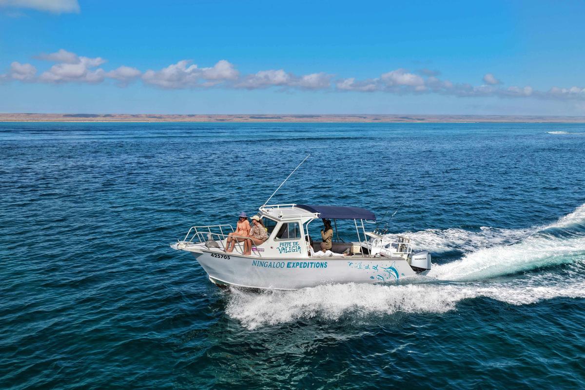 Ningaloo Expeditions out on a Blue Water Safari