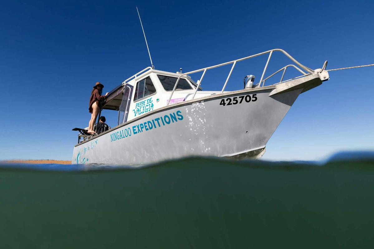 Exmouth Gulf Safari