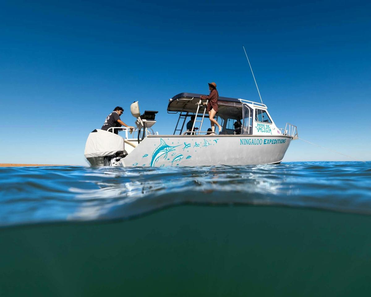 Ningaloo Expeditions