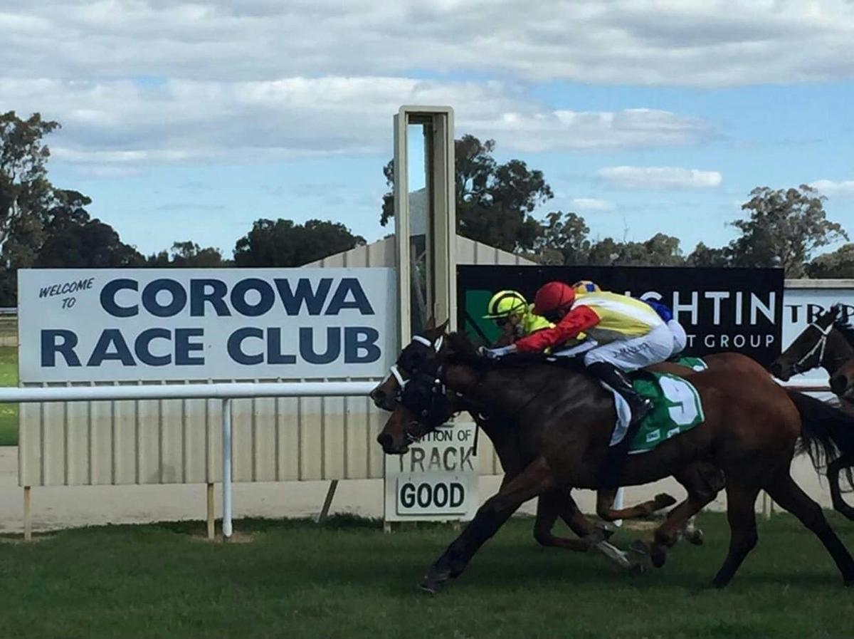 Corowa Race Club - Melbourne Cup Eve