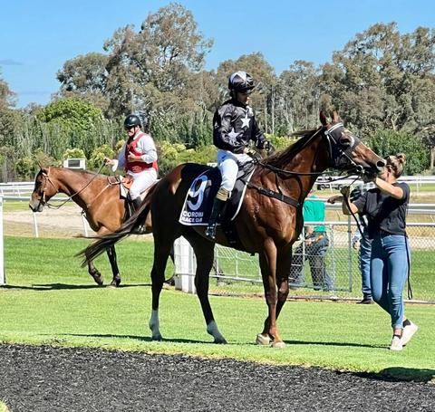 Corowa Race Club Holiday Celebration Meet