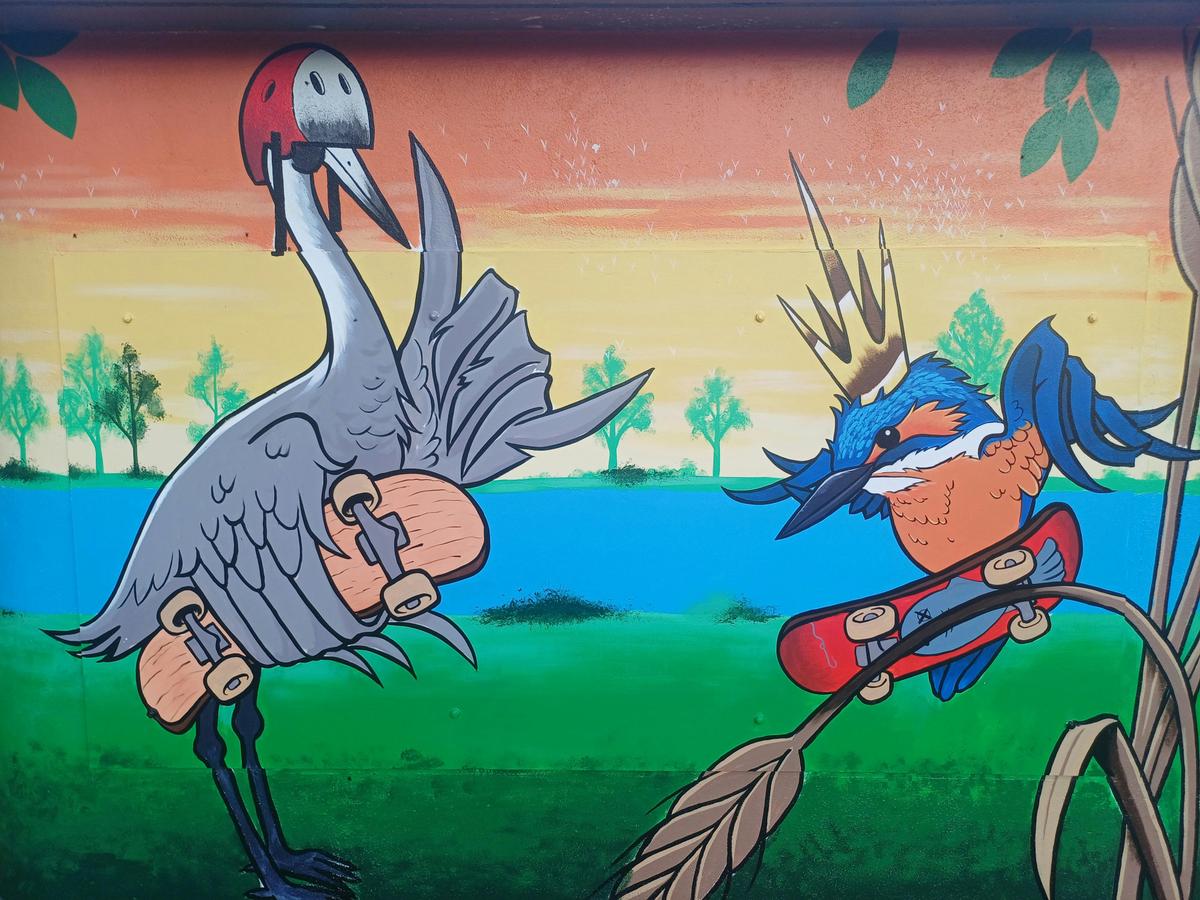Corowa Skate Park Mural
