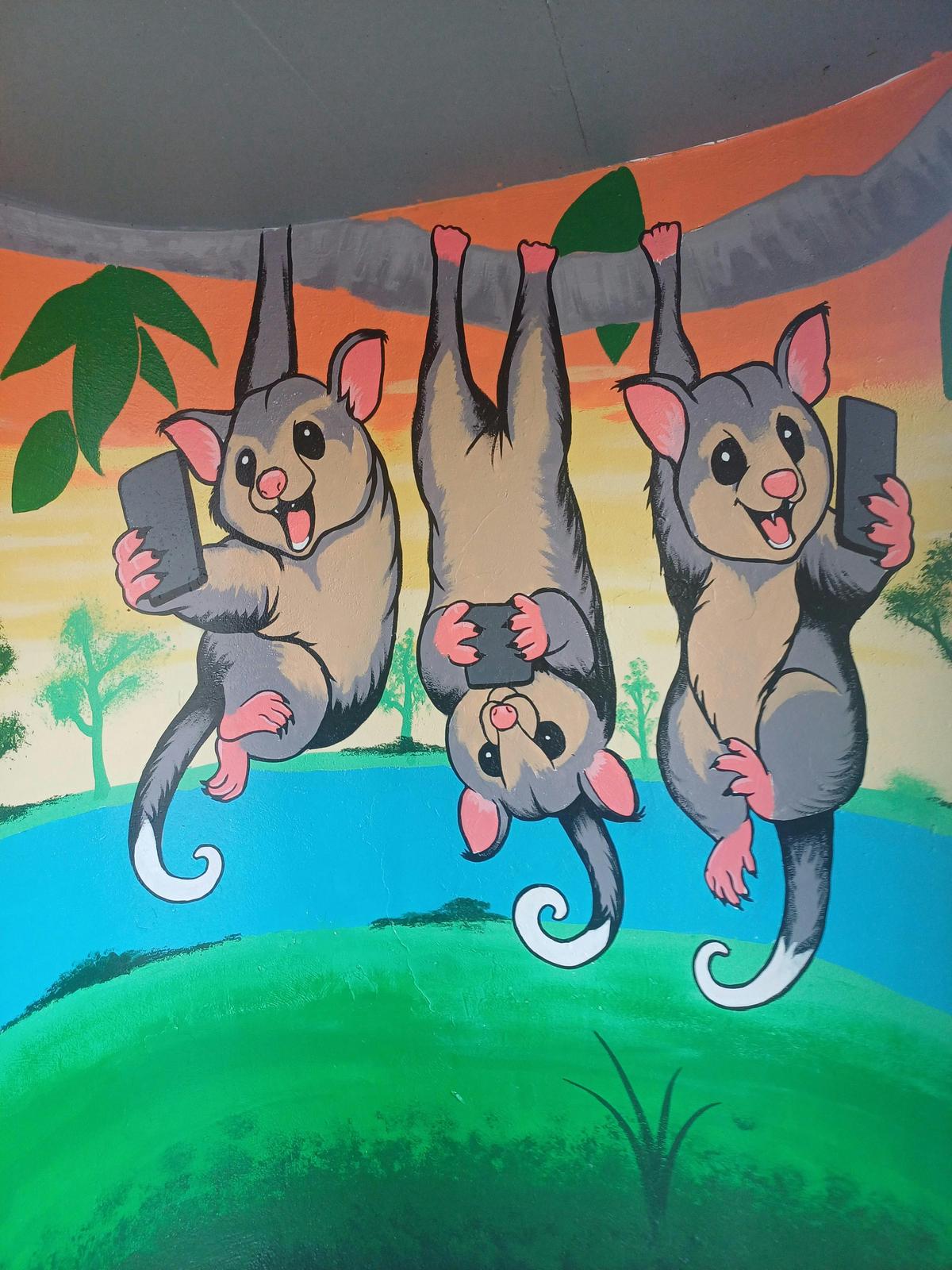 Corowa Skate Park Mural