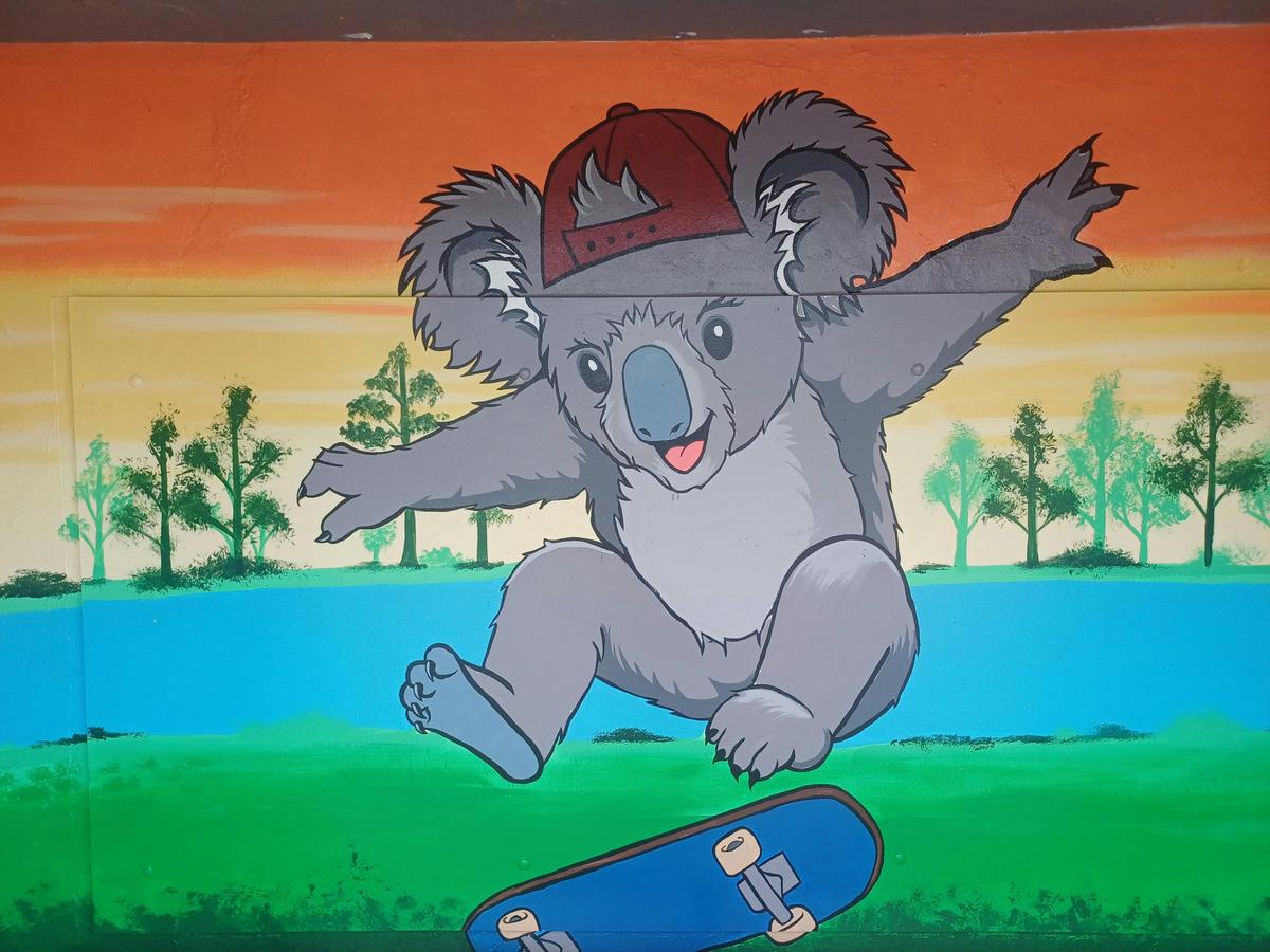 Corowa Skate Park Mural