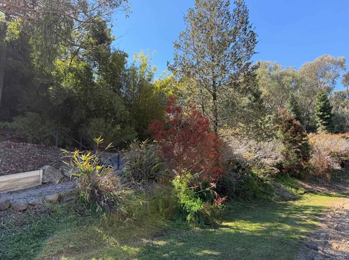 Tamworth Regional Botanic Gardens