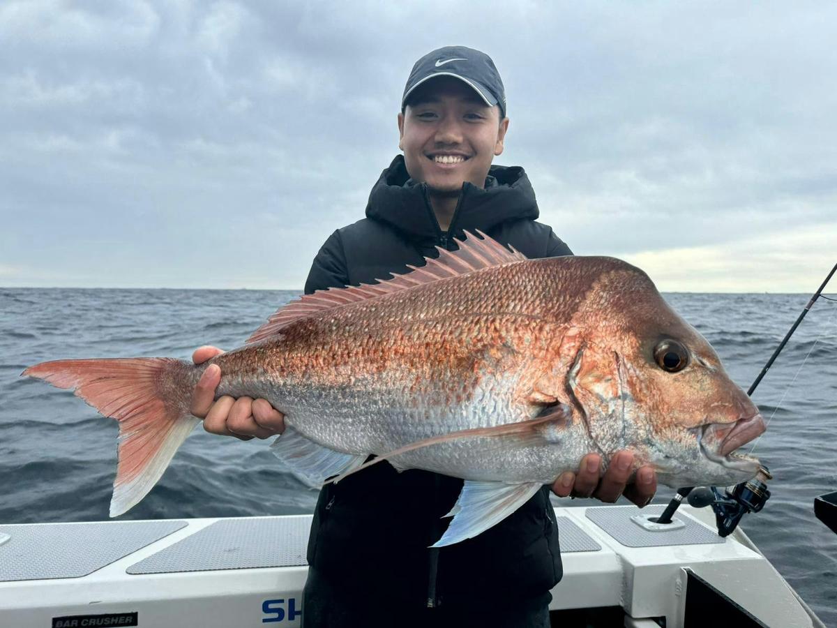 Sydney Fishing Charter - Half Day (AM)