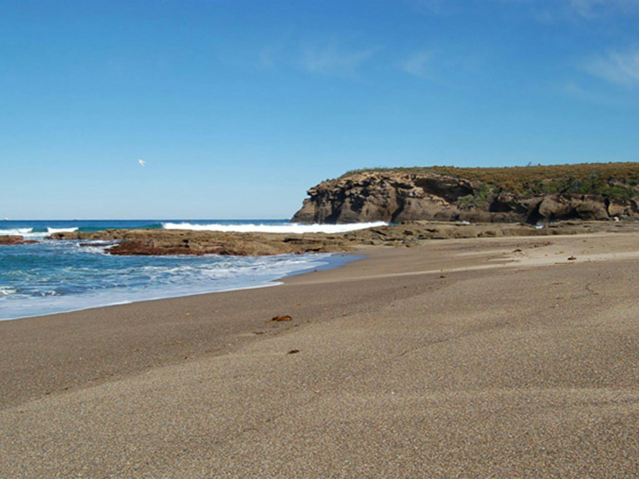 Coastal walk. Photo: Susan Davis/OEH