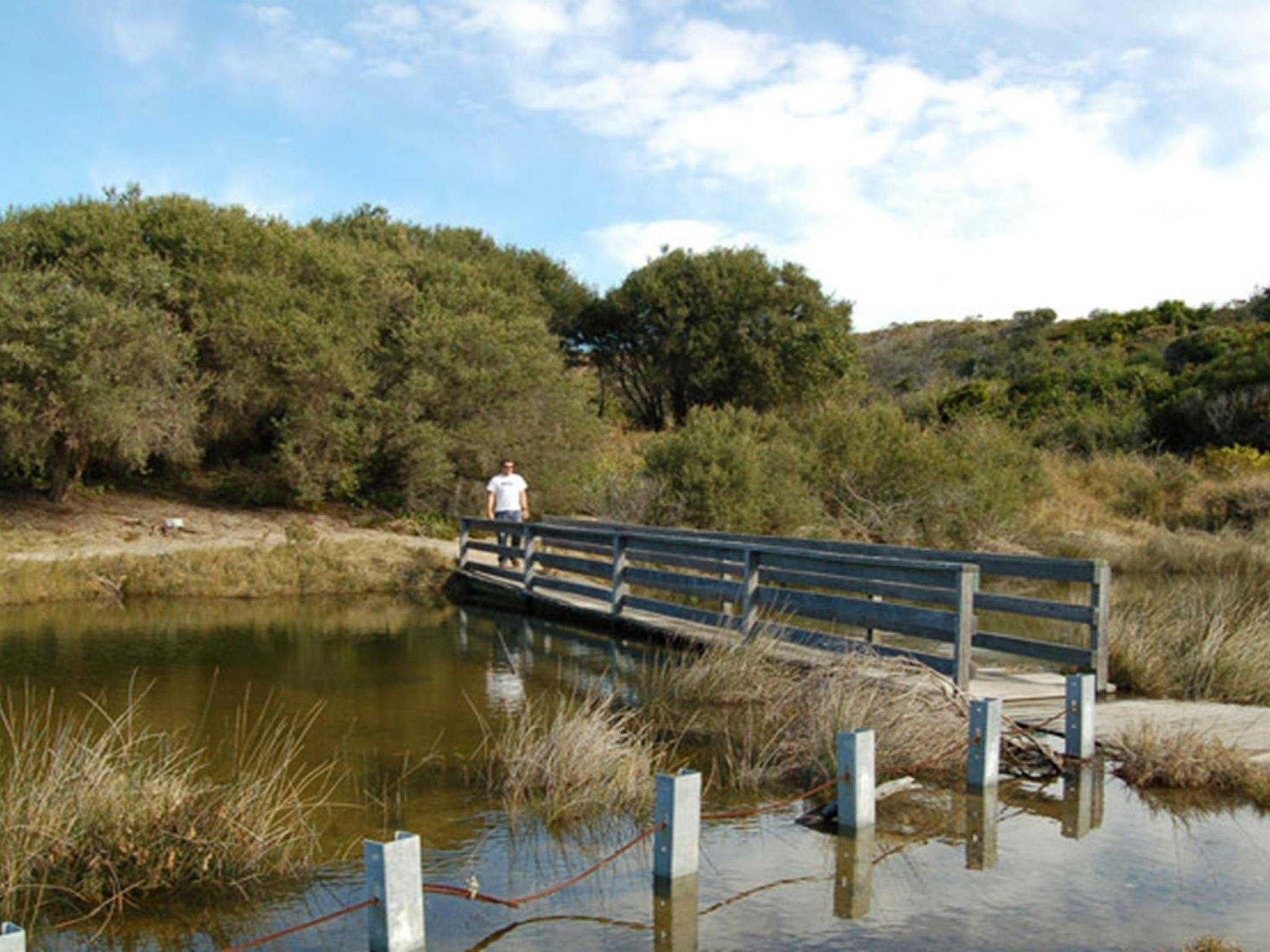 Coastal walk. Photo: Susan Davis/OEH