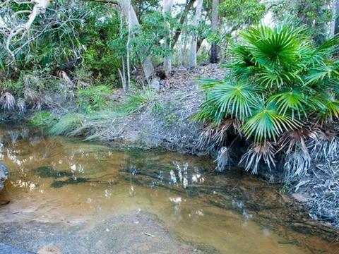 Wallarah National Park