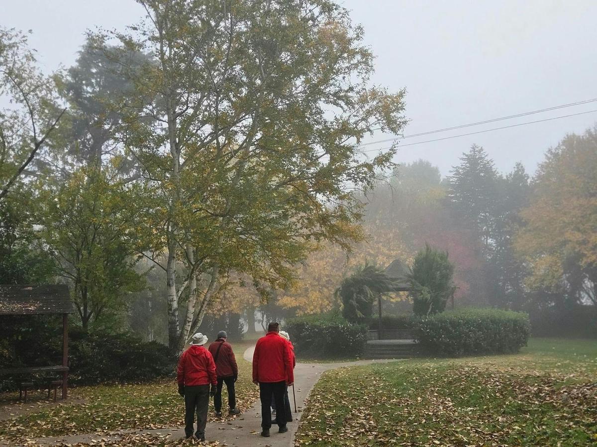 Morning Walk