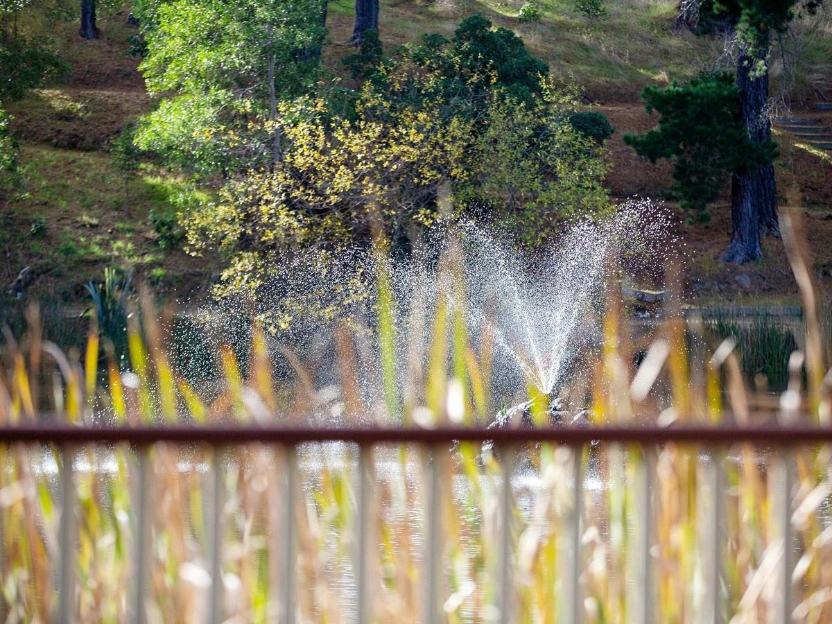 Creswick of the Lindsays Arts Trail
