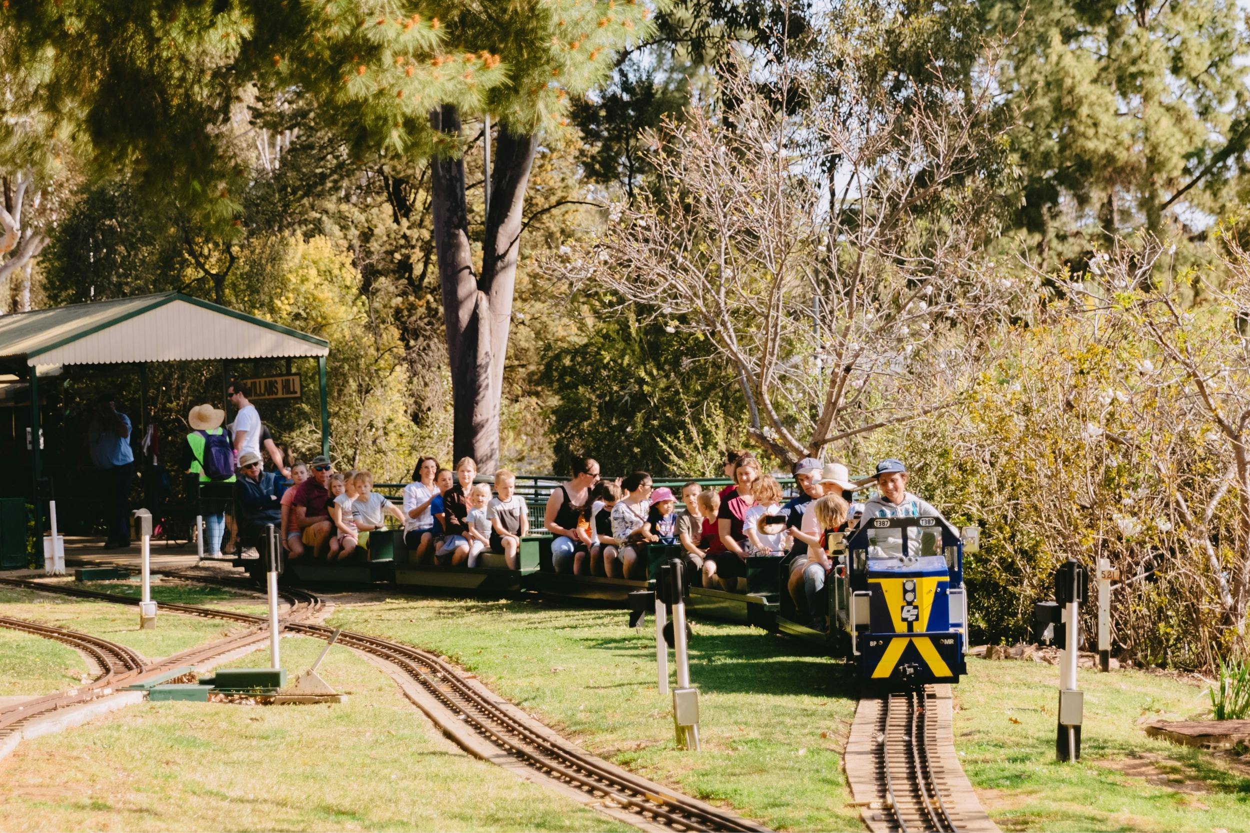 Willans Hill Miniature Railway rides