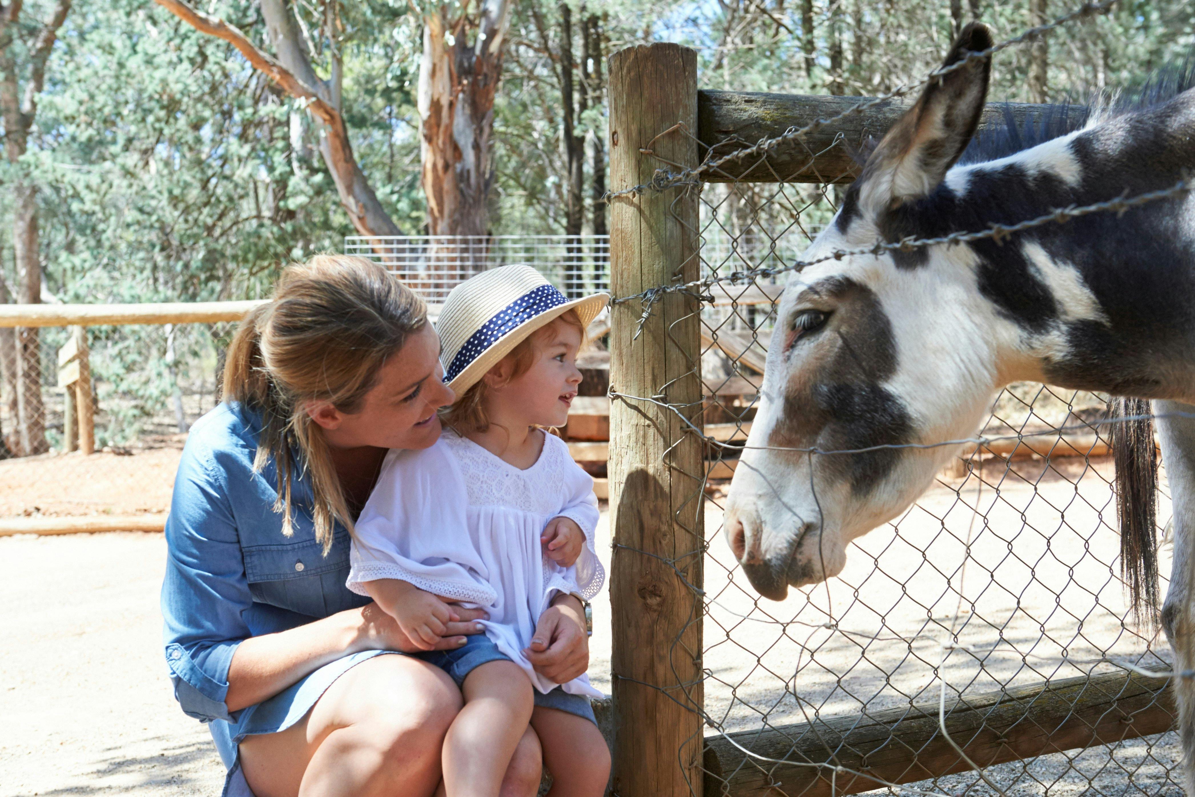 Mini Zoo, Wagga Wagga Botanic Gardens