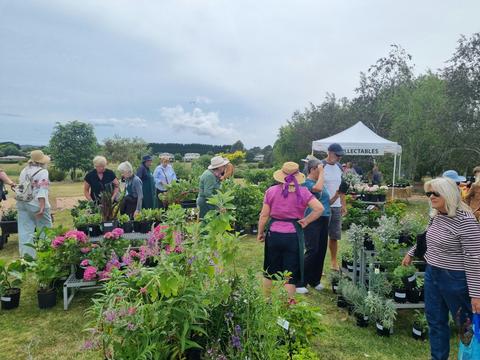 Collector’s Spring Plant Sale