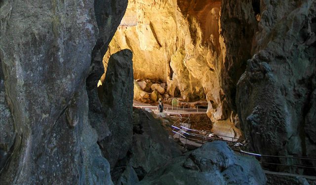 Victoria Arch walking track