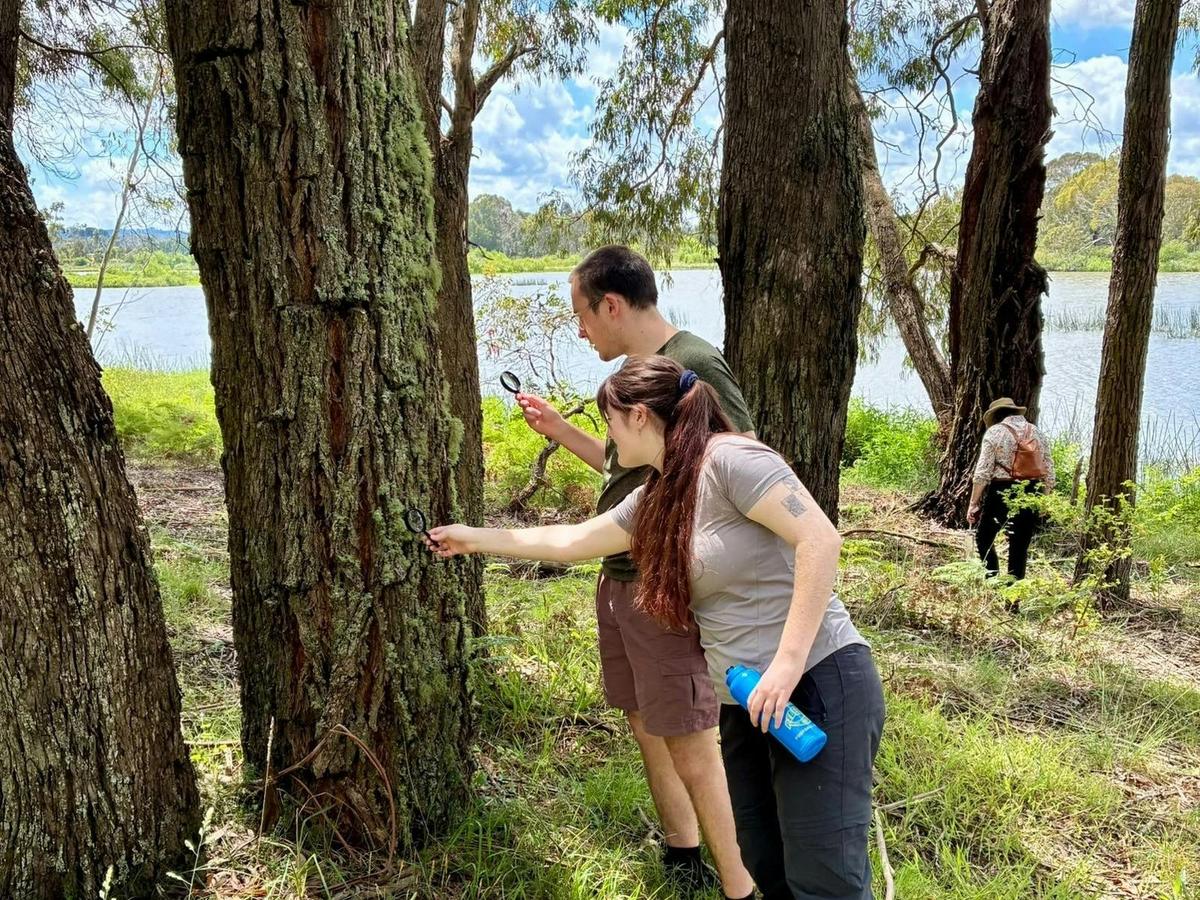 Southern Highlands Guided Nature & Forest Therapy Walk