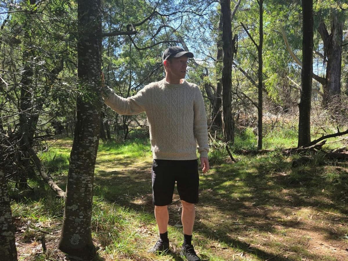 Southern Highlands Guided Nature & Forest Therapy Walk