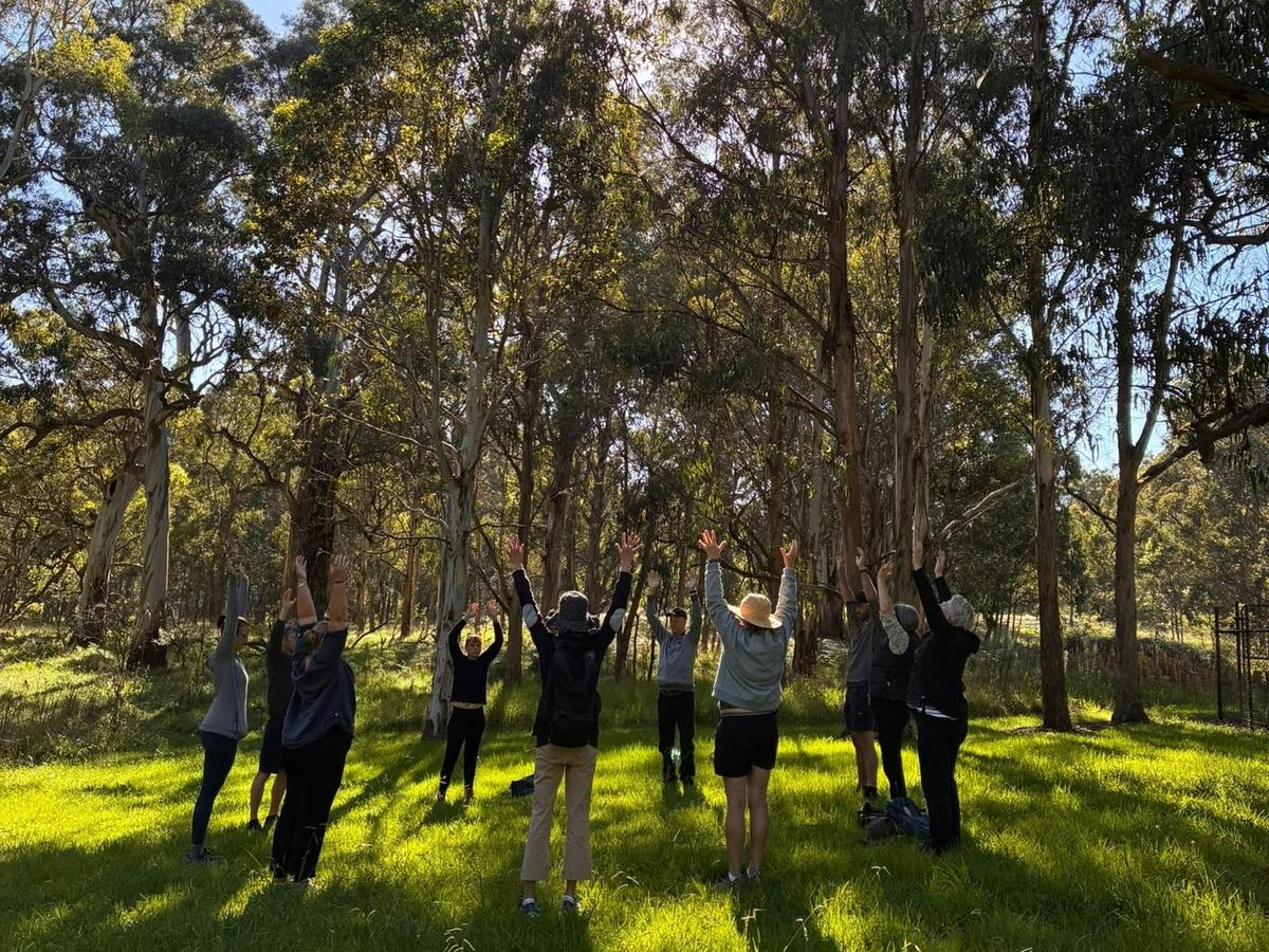 Southern Highlands Guided Nature & Forest Therapy Walk