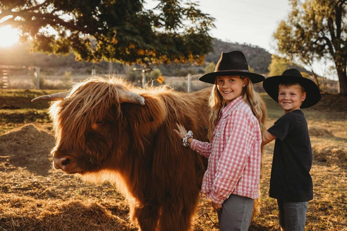 Hands-on Highland cattle experience at River Rocks Stud