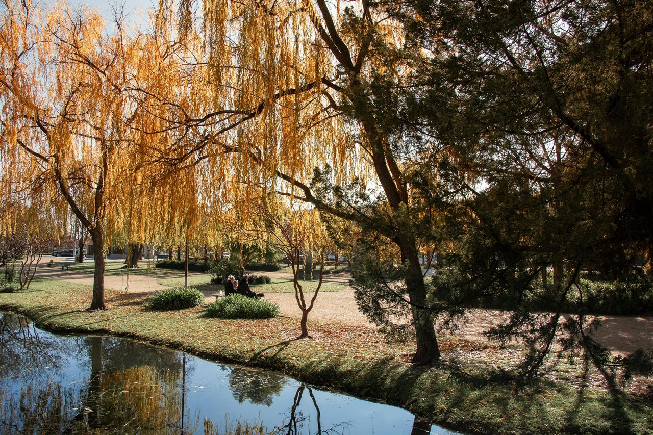 Waring Garden in Deniliquin