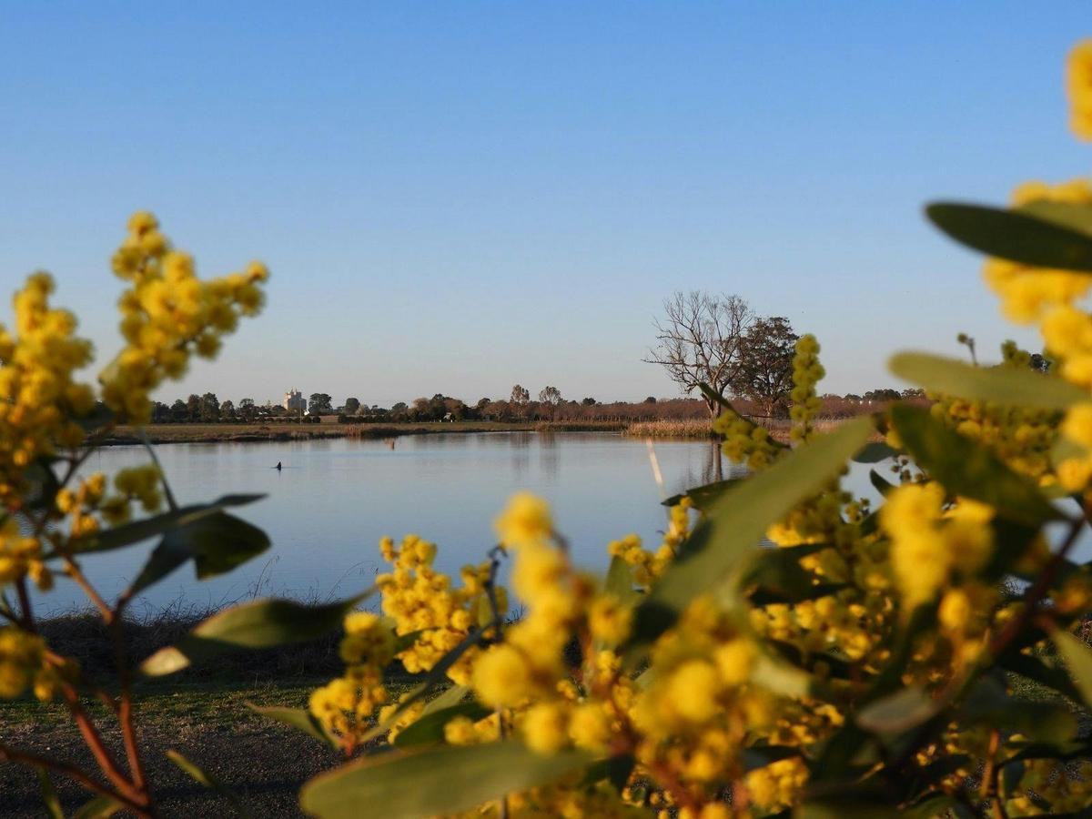 wetlands - spring
