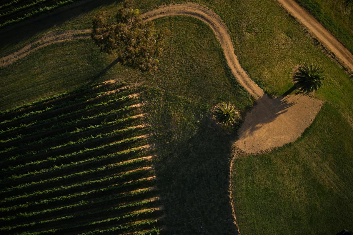 Longview Vineyard Experiences
