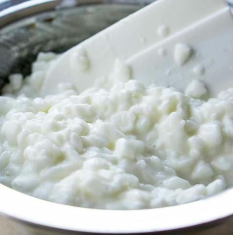 Cottage Cheese, Cream Cheese, Mascarpone, Yoghurt and Labna