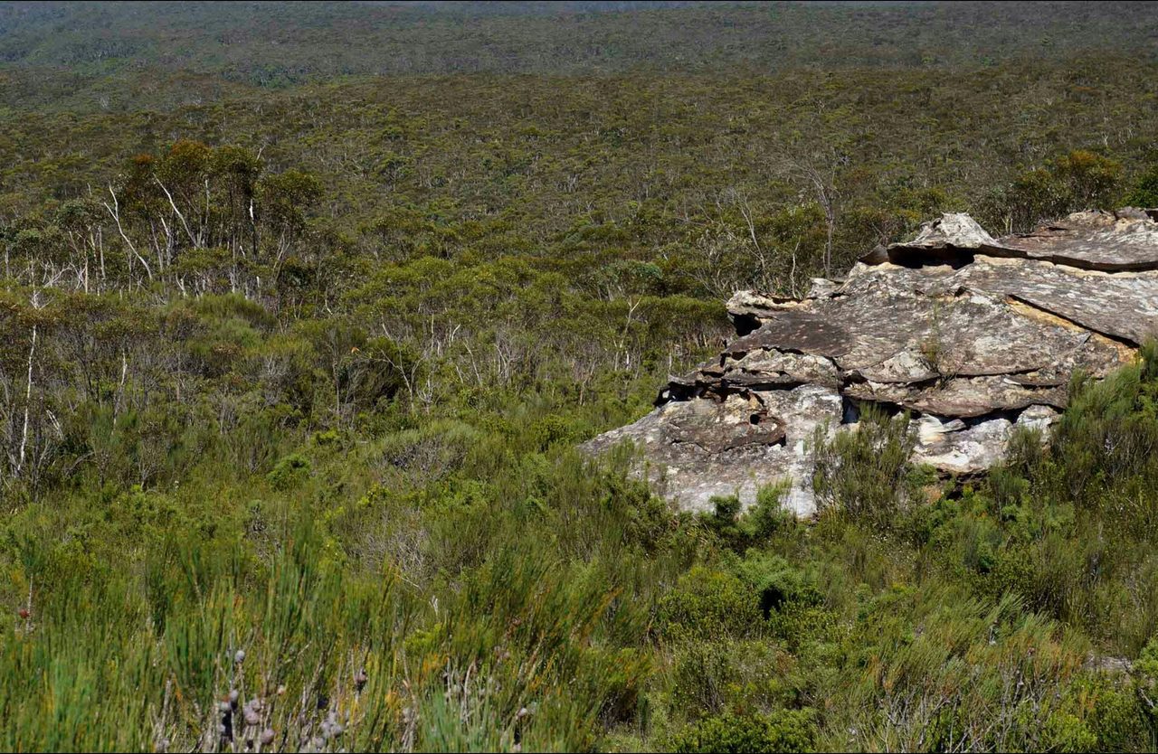 Wentworth Falls to Murphys Glen via Ingar campground, Blue Mountains National Park.