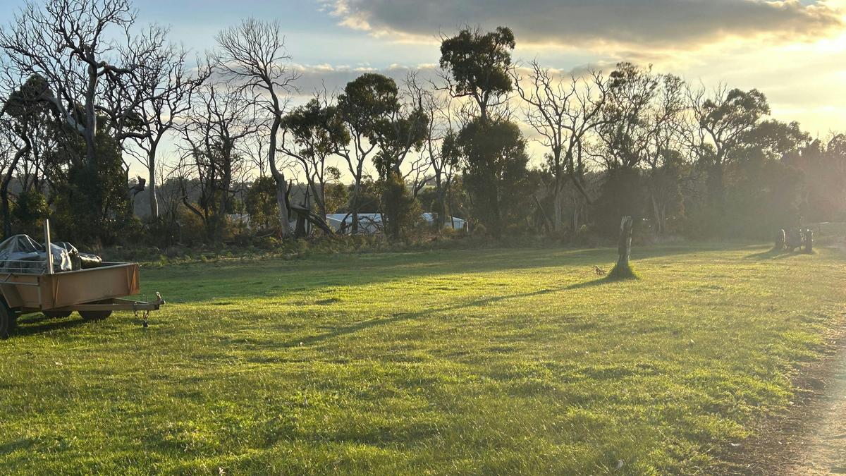 Long Lane Farm