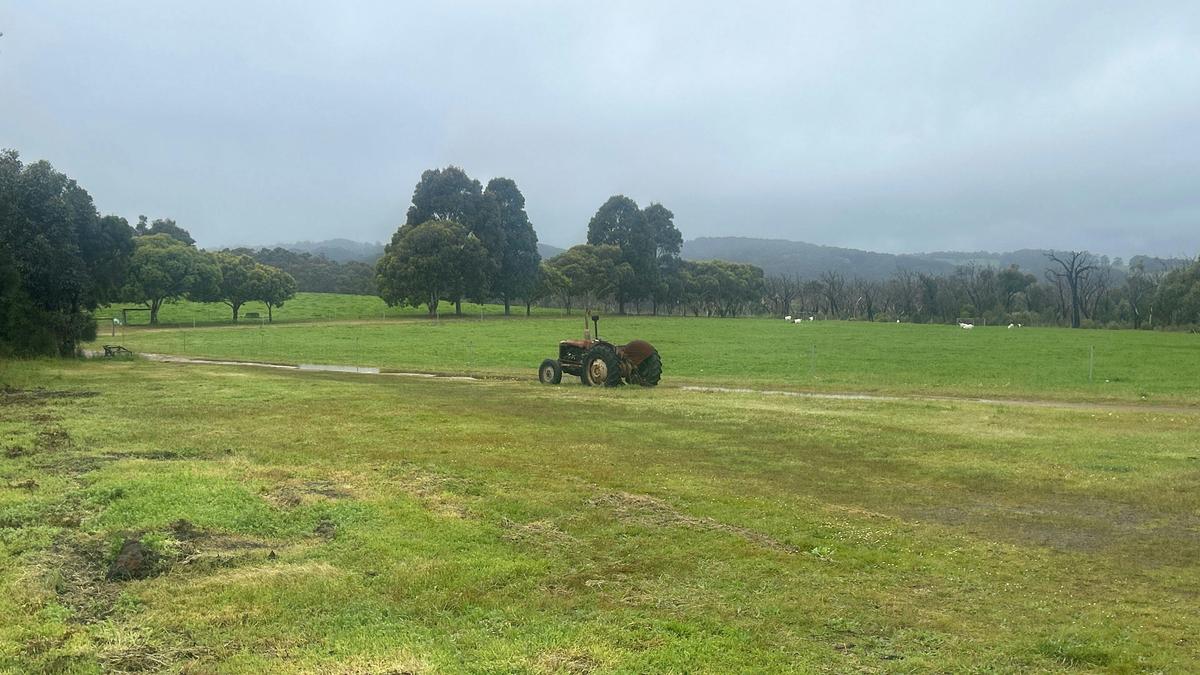 Long Lane Farm