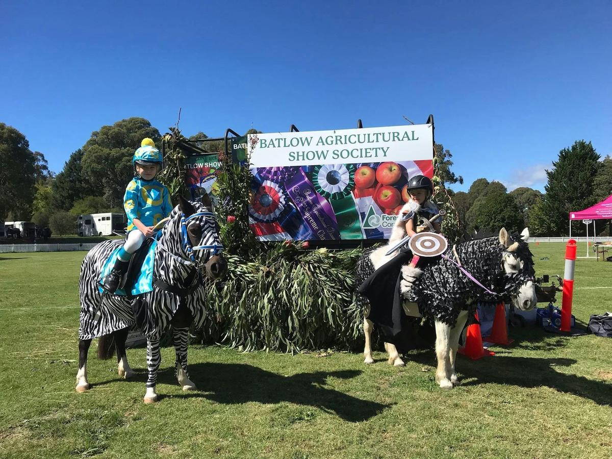 Best Dress Horses