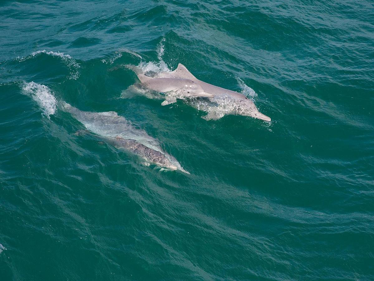 North Stradbroke Island Tour