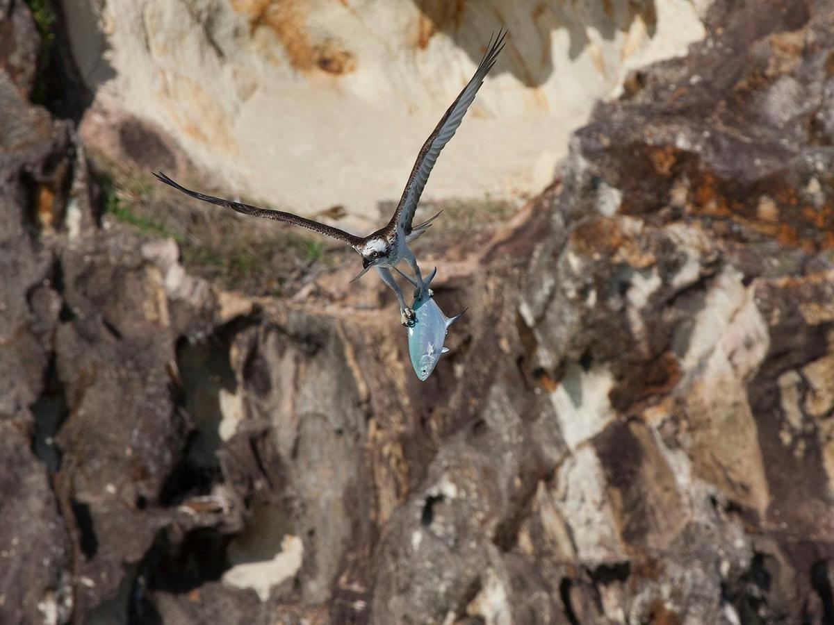 North Stradbroke Island Tour
