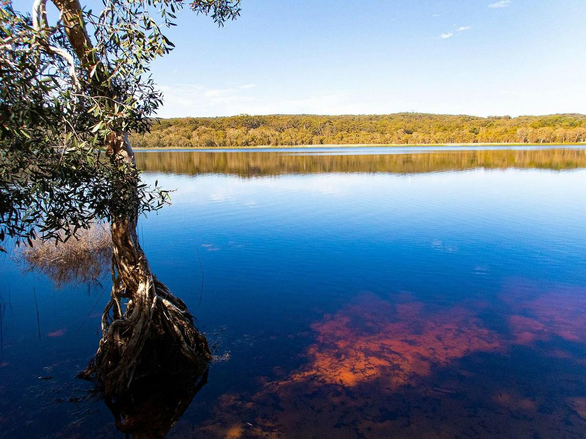 Brown Lake North Stradbroke Island