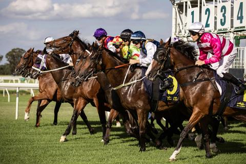Hawkesbury Race Club